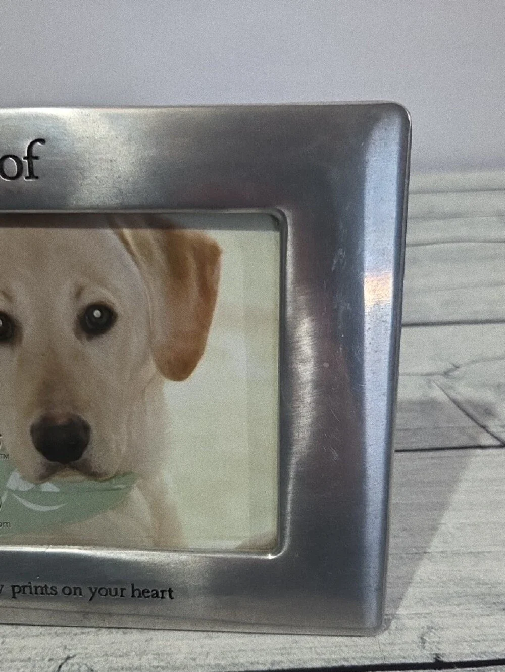 Fetco Silver Polished Dog 4x6 Photo Frame